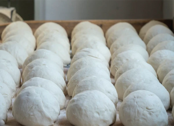 Dough Proofing Dough Proofing