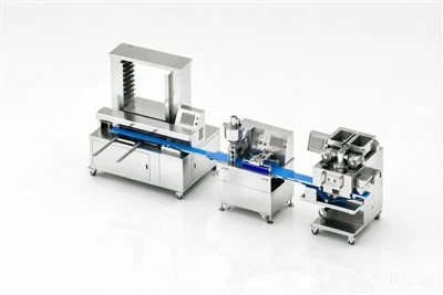 Chocolate Chip Cookie Production Line